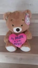 My Mum is the best - Teddy