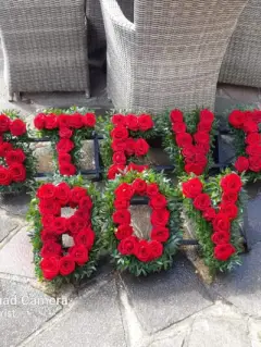 Red Rose Letter Tribute