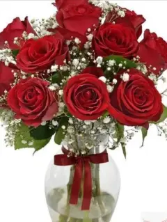 The Allure - I adore you 20 red roses