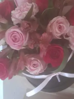 Pink Haze Rose Hatbox and Free Cakes