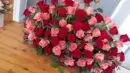 Pure Luxury 100 Rose Display