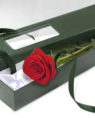 single red rose in box dartford florist
