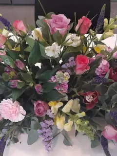 Wild and Wonderful Display