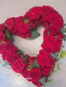 Beautiful Red Rose Open Heart