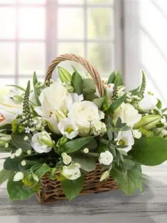 Serenity white flower basket available for delivery in Sidcup
