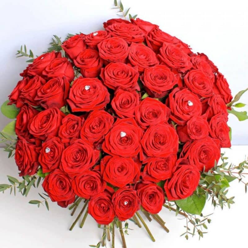 50 Stunning Red Roses • Sidcup Flowers Kim-e-Fleurs