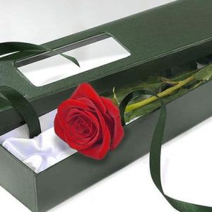 single red rose in box dartford florist