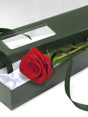 single red rose in box dartford florist