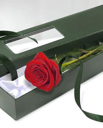 single red rose in box dartford florist