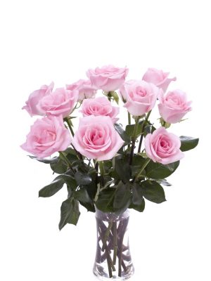Pink Roses (XL)