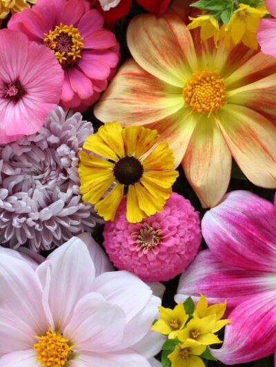 Florist Choice Mixed Bouquet