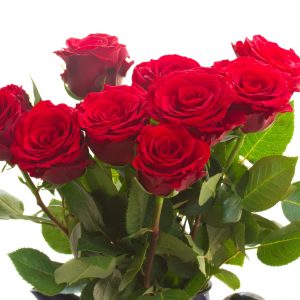 The Rosemary - Red Rose hatbox Special Buy