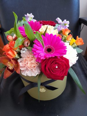 bold hatbox