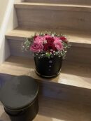 Red and Pink Rose Duo