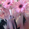 Florist Choice in the Pink