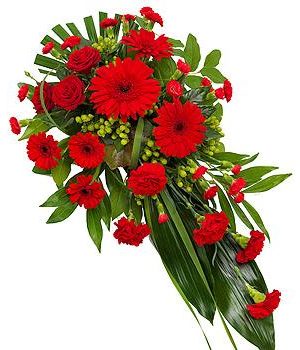 Red Carnation and Gerbera Funeral Spray