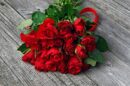 10 Red Roses to say I love you