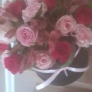 Pink Haze Rose Hatbox and Free Cakes